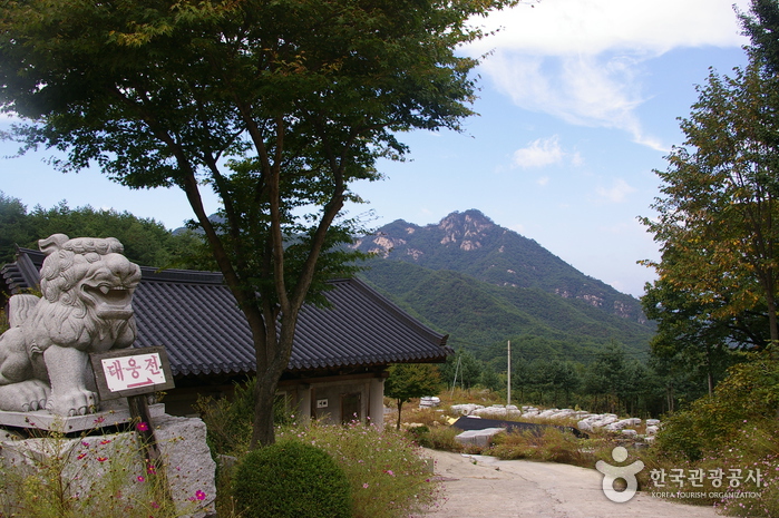 대원사(충주)